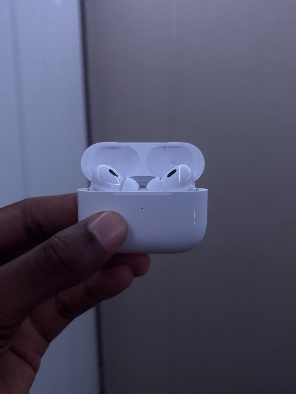 Apple White AirPods Pro with Charging Case